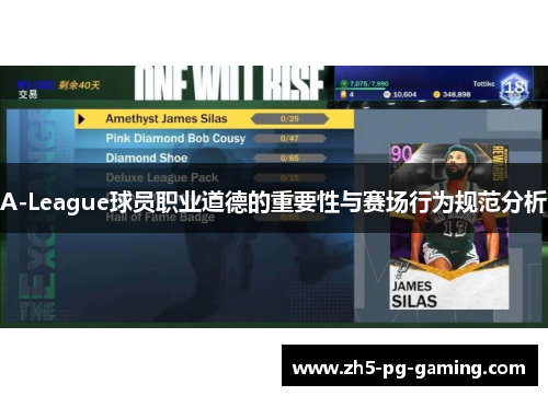 A-League球员职业道德的重要性与赛场行为规范分析 A-League球员职业道德的重要性与赛场行为规范分析