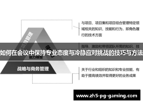 如何在会议中保持专业态度与冷静应对挑战的技巧与方法