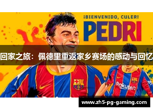 回家之旅：佩德里重返家乡赛场的感动与回忆