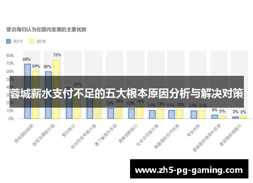 蓉城薪水支付不足的五大根本原因分析与解决对策 蓉城薪水支付不足的五大根本原因分析与解决对策