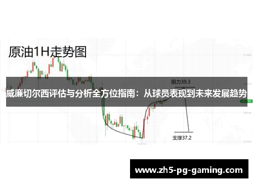 威廉切尔西评估与分析全方位指南：从球员表现到未来发展趋势