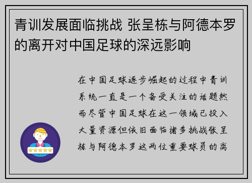 青训发展面临挑战 张呈栋与阿德本罗的离开对中国足球的深远影响