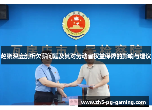 赵鹏深度剖析欠薪问题及其对劳动者权益保障的影响与建议